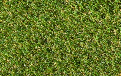 What is Artificial Grass?