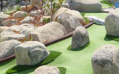 Backyard Putting Greens – Everything you Need to Know